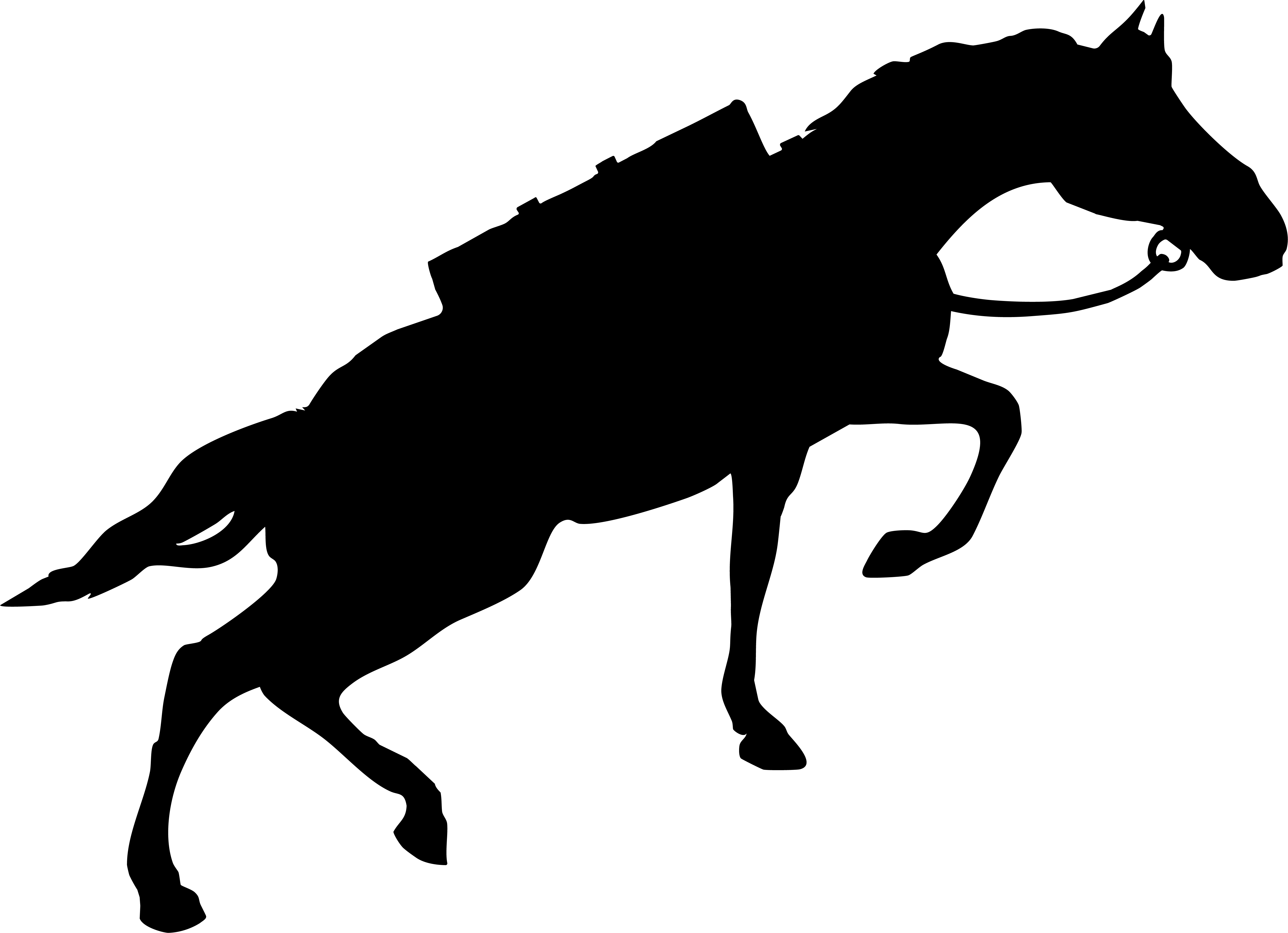Paxout